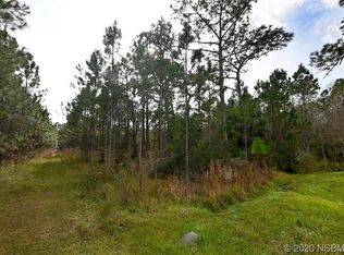 4696 Saddle Creek Run, New Smyrna Beach, FL 32168