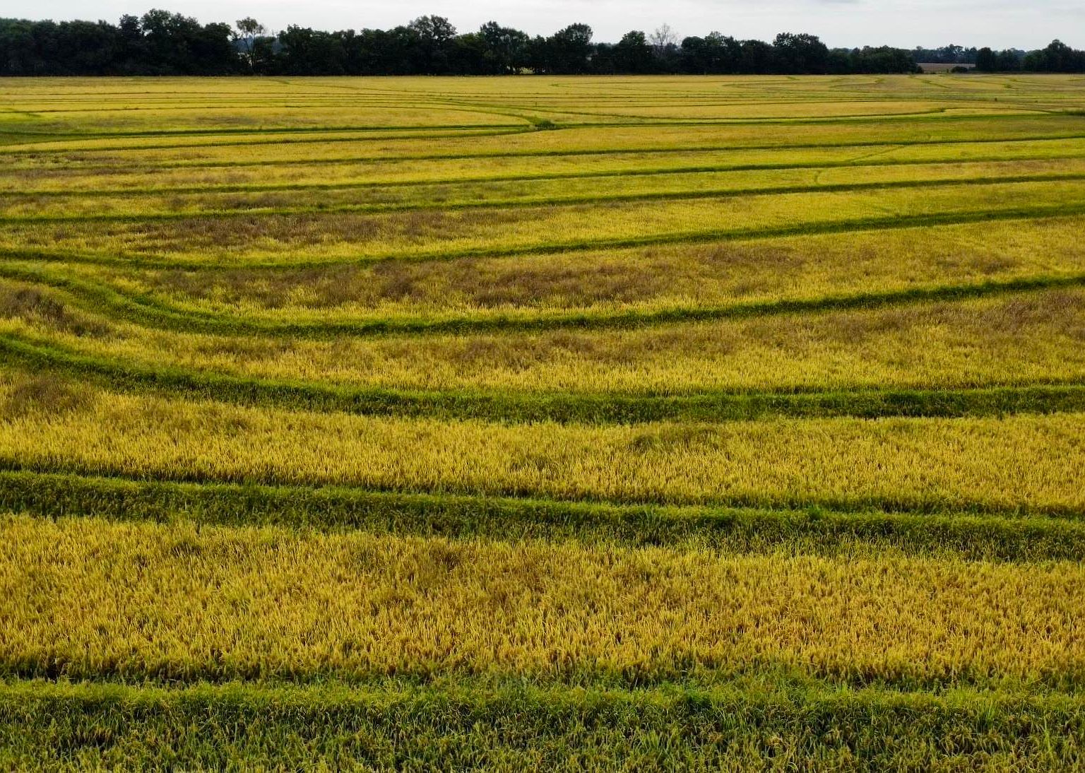 42 State Highway S 21 T9n 1516R1W, Mc Crory, AR 72101 Zillow