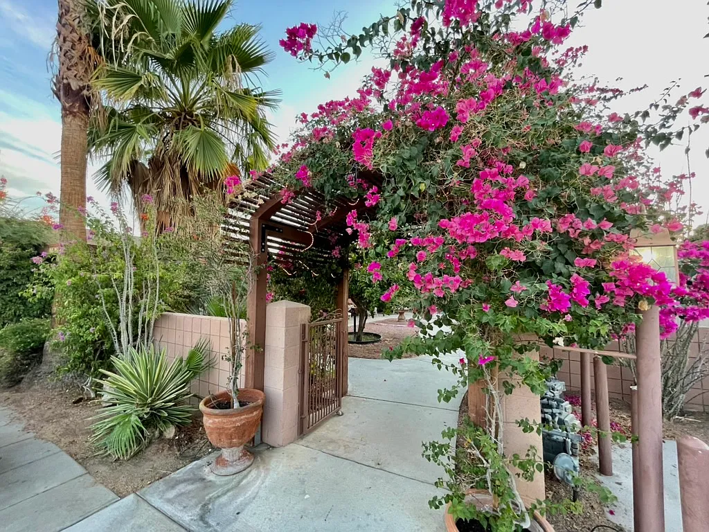 2 bed, 780 sqft, $2,200 — Photo 3