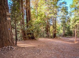 1180 Moody Ridge Rd, Alta, CA 95701