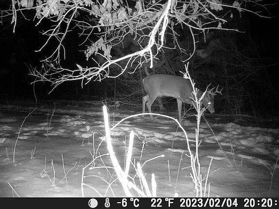 5th image of 2370 S Coville Rd