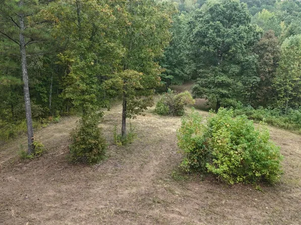 2324 County Road 758 Lot 23/24, Riceville, TN 37370