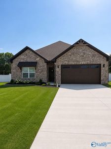 310 Krimson Cir, Albertville, AL, 35951