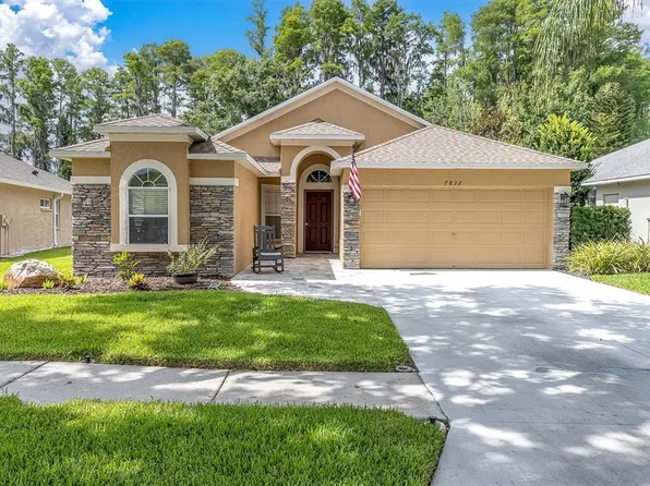 7832 Blue Spring Dr, Land O Lakes, FL 34637