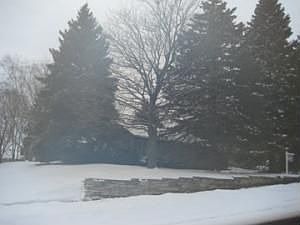 VIEW OF PROPERTY