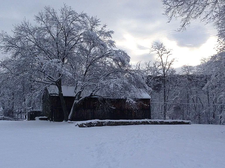 Chestnut Ridge Rd — Photo 8