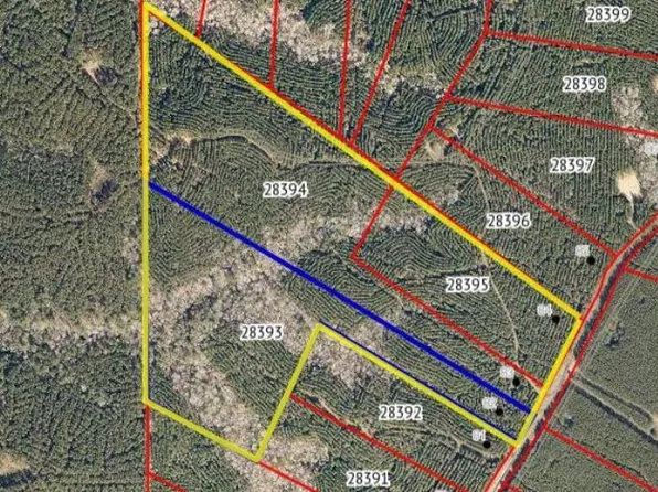 County Road 403, San Augustine, TX 75972