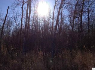 Xxxx Silver Fox Cir, Duluth, MN 55811