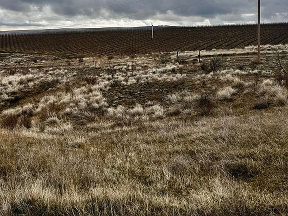 2nd image of Nka Badger Rd