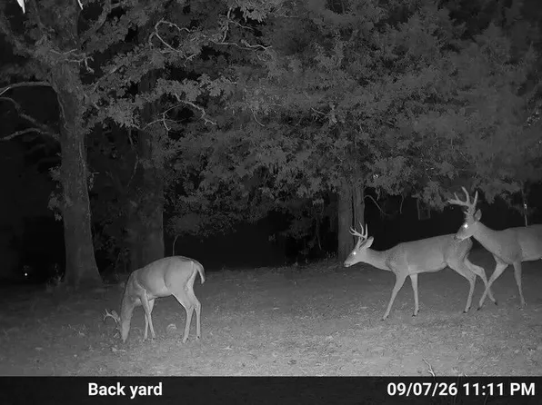 0000 County Road Jj-416, Ava, MO 65608