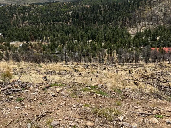 LOT 9A Lake Shore Ct, Alto, NM 88312