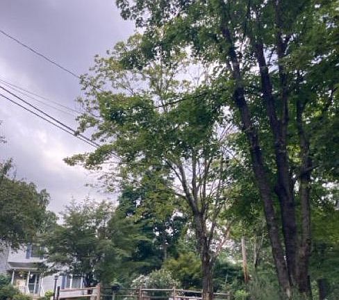 Exterior Neighborhood (street photo)