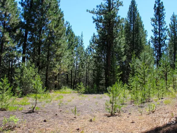 83 Warner Dr, Cascade, ID 83611