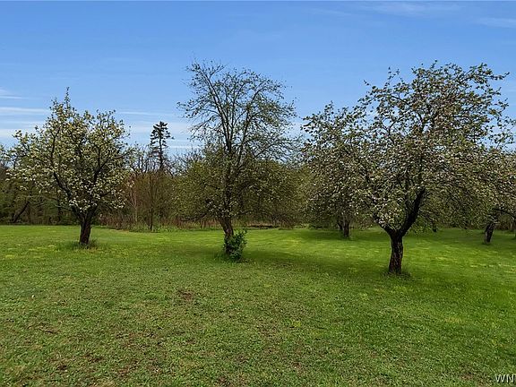 47th image of 12979 Bullis Rd