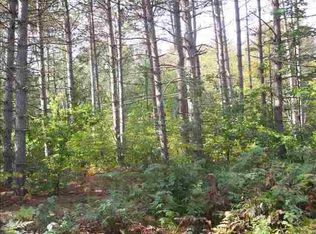 0 S Brown Rd, Lake City, MI 49651