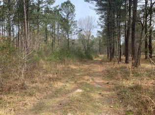 313 Glenridge Ln, Cordesville, SC 29434