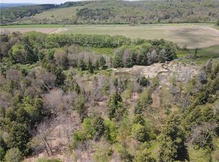 LOT 2 County Road 16 Lot 41, Swain, NY 14884