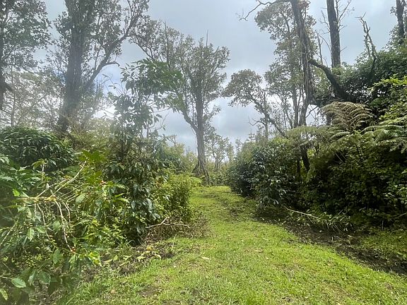5th image of Kokokahi Rd Lot 37