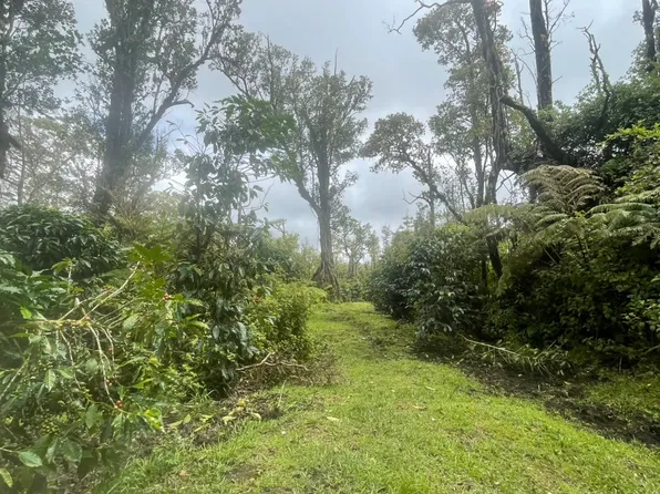 Kokokahi Rd, Volcano, HI 96785