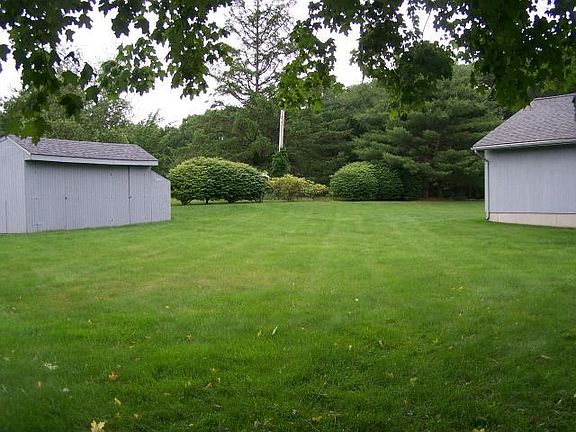 Backyard - 1/2 acre