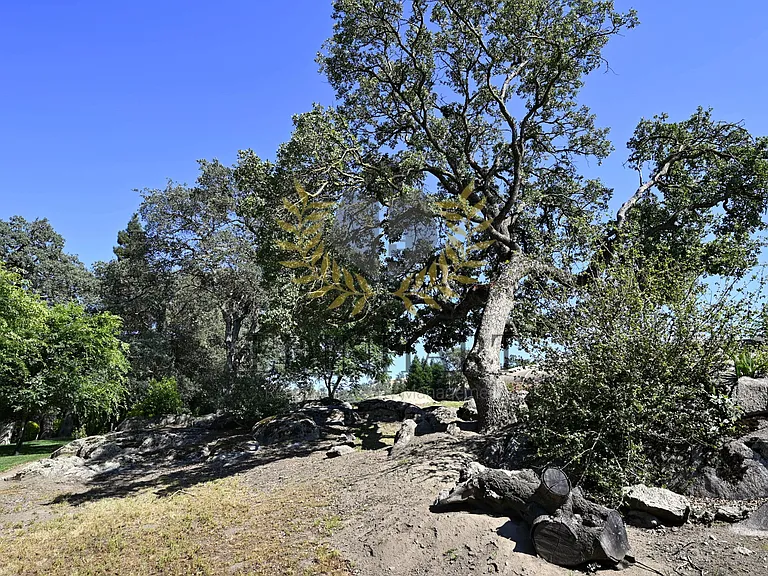 21678 Eastmere Ln — Photo 67