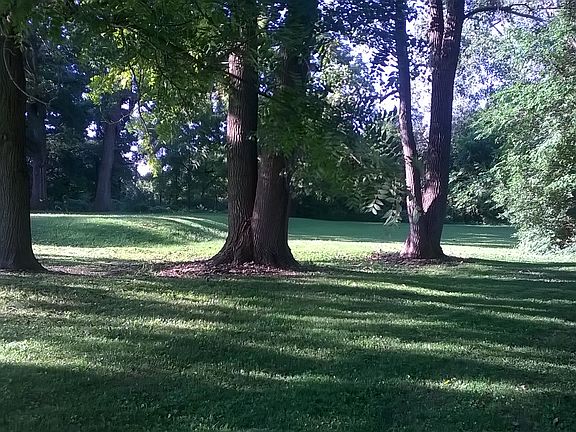 View from side to back yard