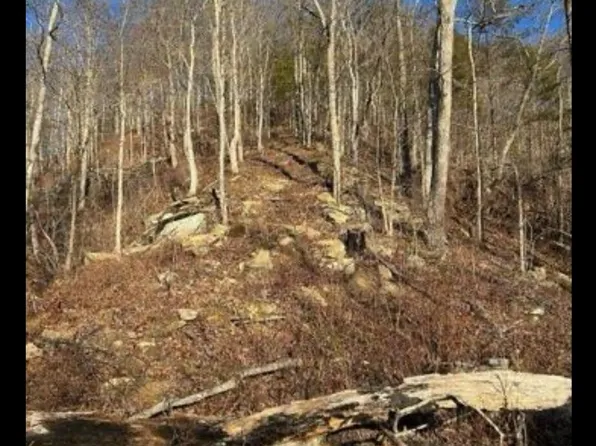 496 Canoe Rd, Jackson, KY 41339