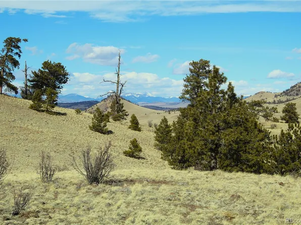 832 Ahlers Lane, Hartsel, CO 80449