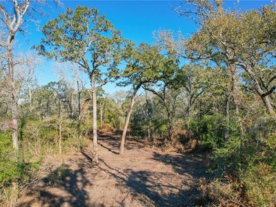 TRACT 6 Jones Rd, College Station, TX, 77845