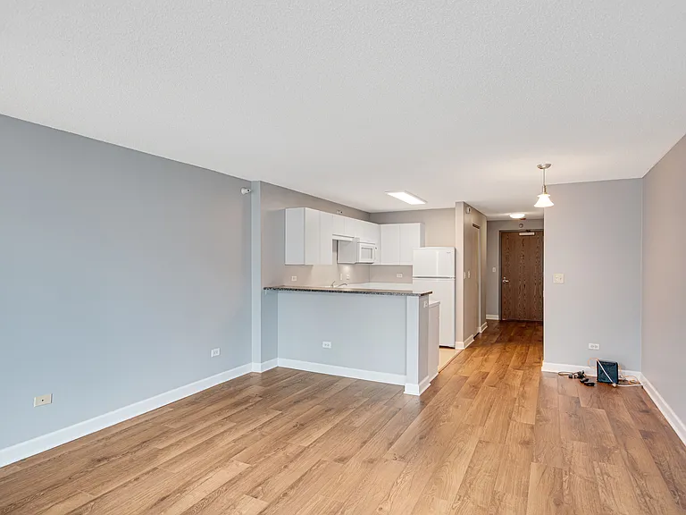 2 E Erie St #1804 — Photo 6