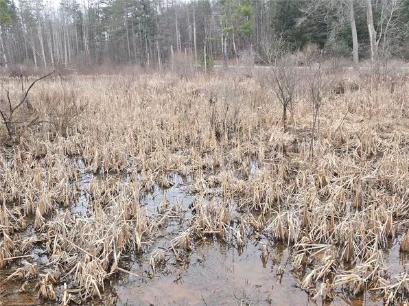 Hardys Rd, Gainesville, NY 14066