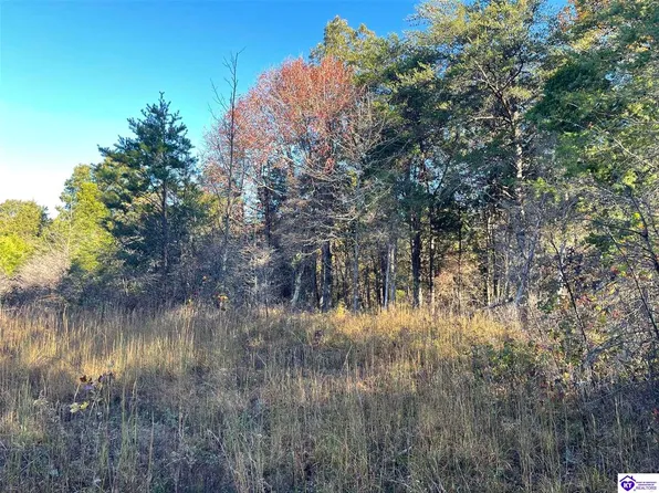 12 Little Clifty Rd, Big Clifty, KY 42712