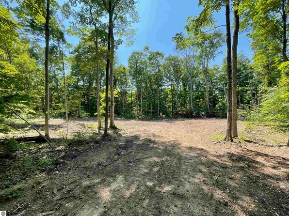 LOT 16 S Fairway Dr, Cedar, MI 49621