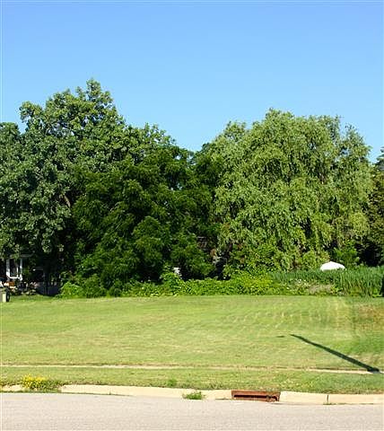2nd image of 355 Hatchery Ln