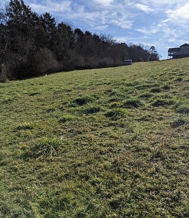 3rd image of Marble Bluff Drive Kingston Tn 37763