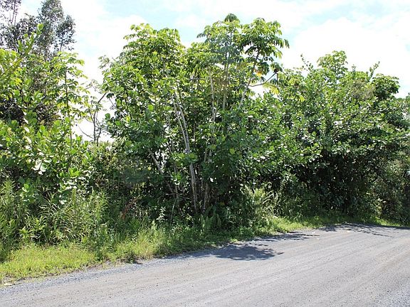5th image of 5th Ave Lot 1218