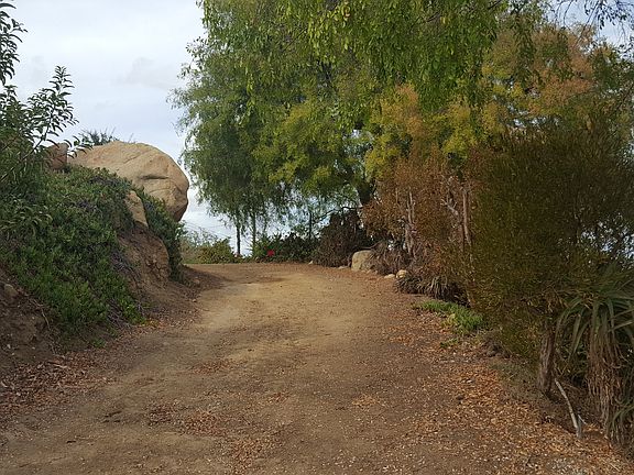 Looking back/ driveway