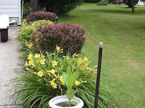 Exterior Front Landscape (W)