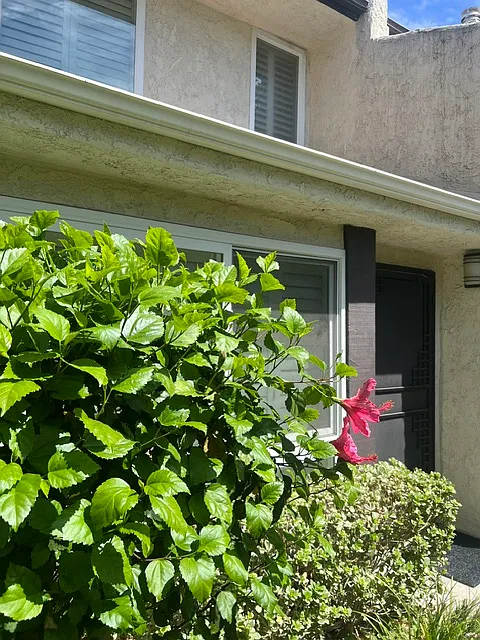 3 bed, 1864 sqft, $6,500 — Photo 2