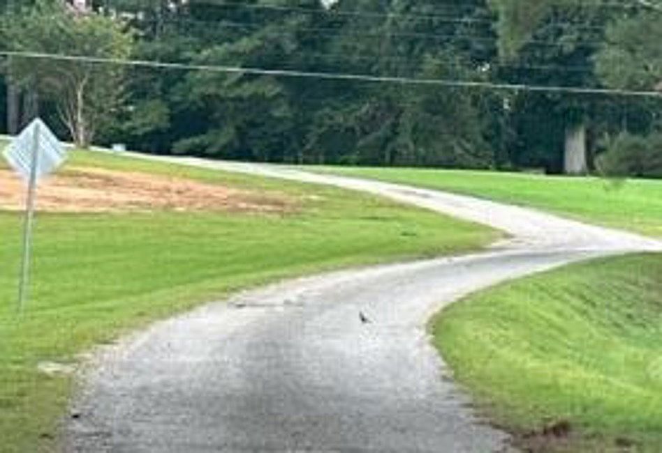 Exterior Neighborhood (street photo)