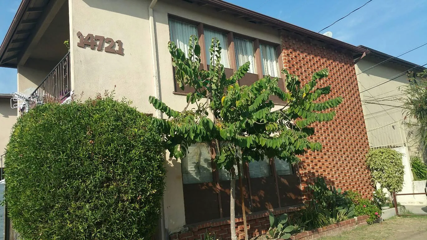 2 bed, 875 sqft, $2,100 — Photo 1