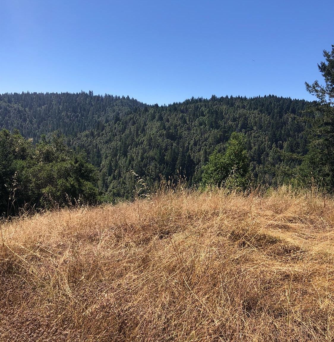 30050 Seaview Rd, Cazadero, CA 95421 MLS 322072435 Zillow