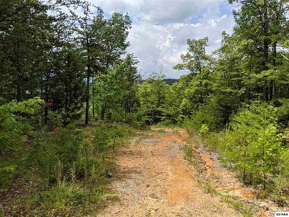 2nd image of 0 Sycamore Ln Lot 85