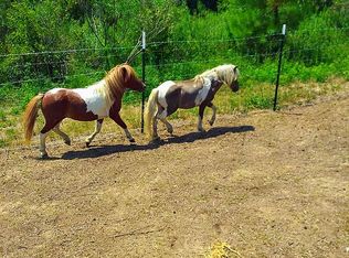 238 Pope Rd, Pineview, GA 31071