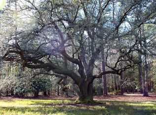 19248 Wymer Rd, Covington, LA 70435