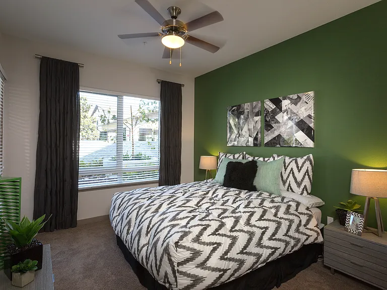 Anton 1101 Apartments — Photo 18