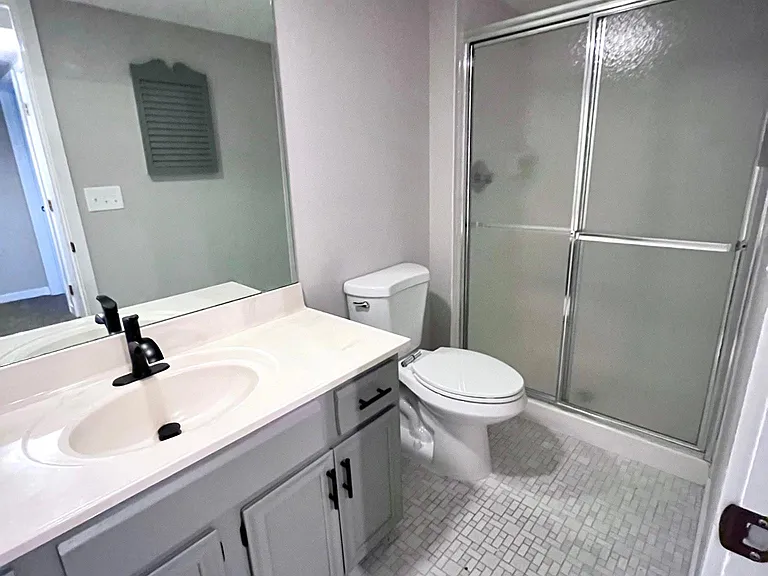 Lower level bathroom