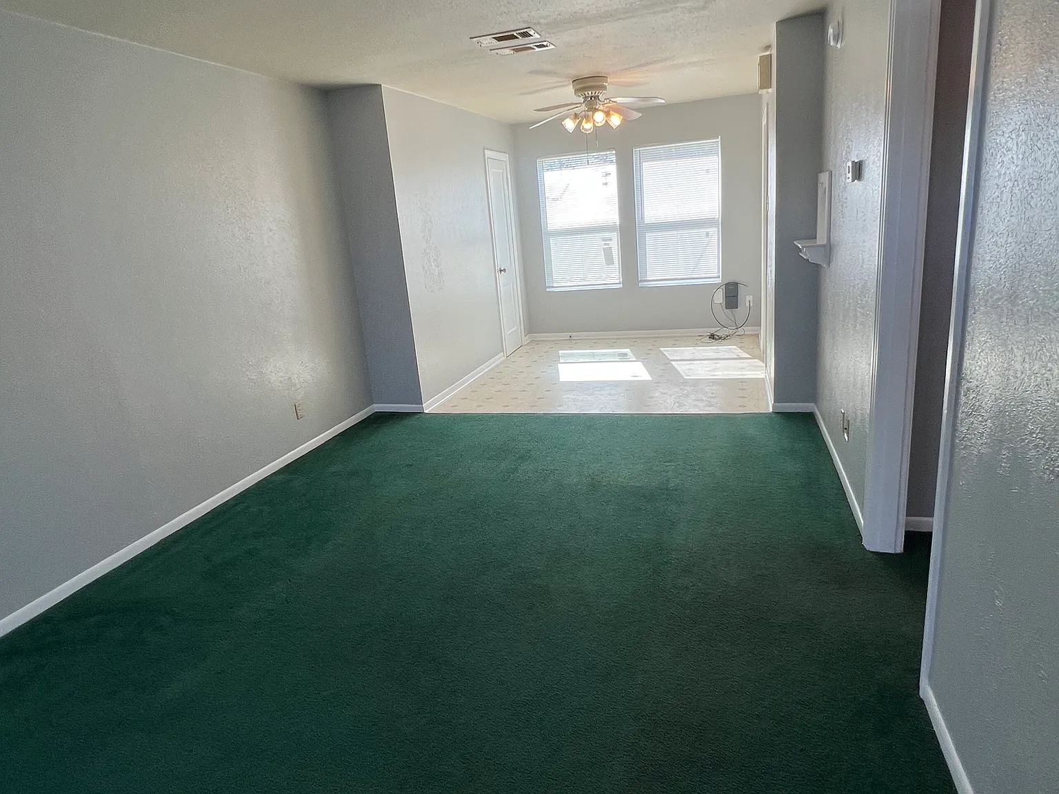 805 Stetson Ave — Photo 4