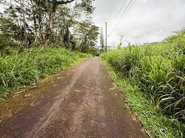 Mayzee Rd Lot 178, Pahoa, HI 96778