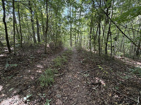 3rd image of 361 Long View Ln